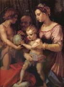 Andrea del Sarto Holy family and younger John France oil painting artist